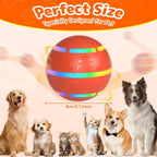 Interactive Pet Toy detail view 4 for Australian shoppers