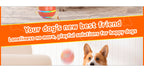Interactive Pet Toy detail view 10 for Australian shoppers