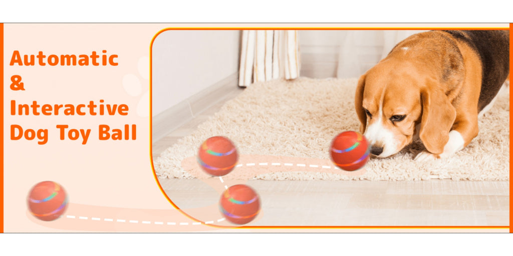 Interactive Pet Toy detail view 13 for Australian shoppers