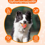 Interactive Pet Toy detail view 5 for Australian shoppers