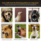 IP68 Automatic Anti-Bark Dog Training Collar detail view 6 for Australian shoppers