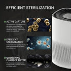 Large-Room Air Purifier detail view 4 for Australian shoppers