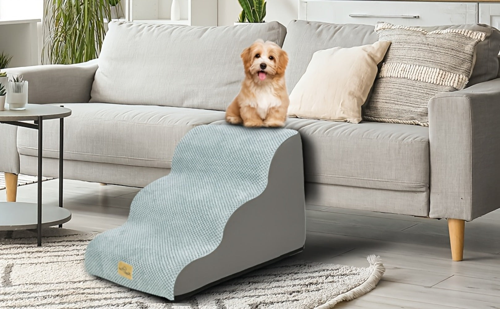 Pet Ramp detail view 19 for Australian shoppers