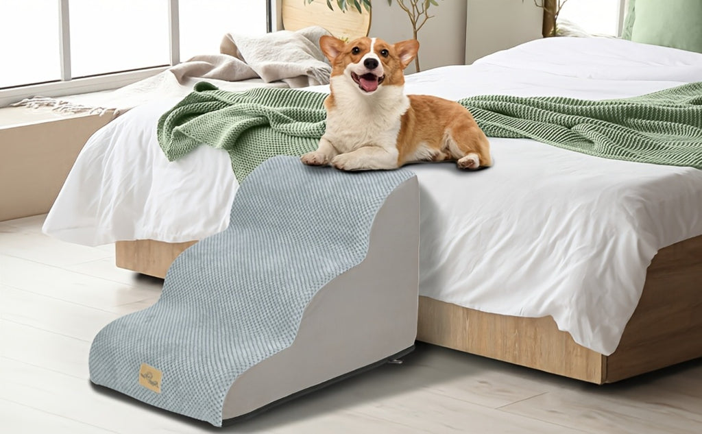 Pet Ramp detail view 20 for Australian shoppers