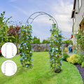 Metal Garden Arch product detail 10