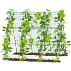 Metal Garden Arch product detail 4