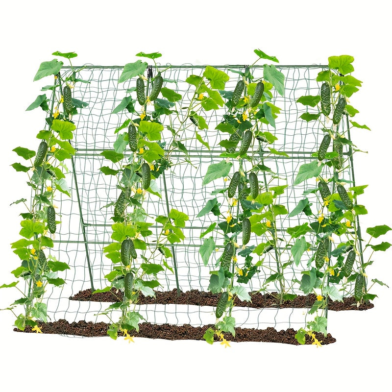 Metal Garden Arch product detail 10