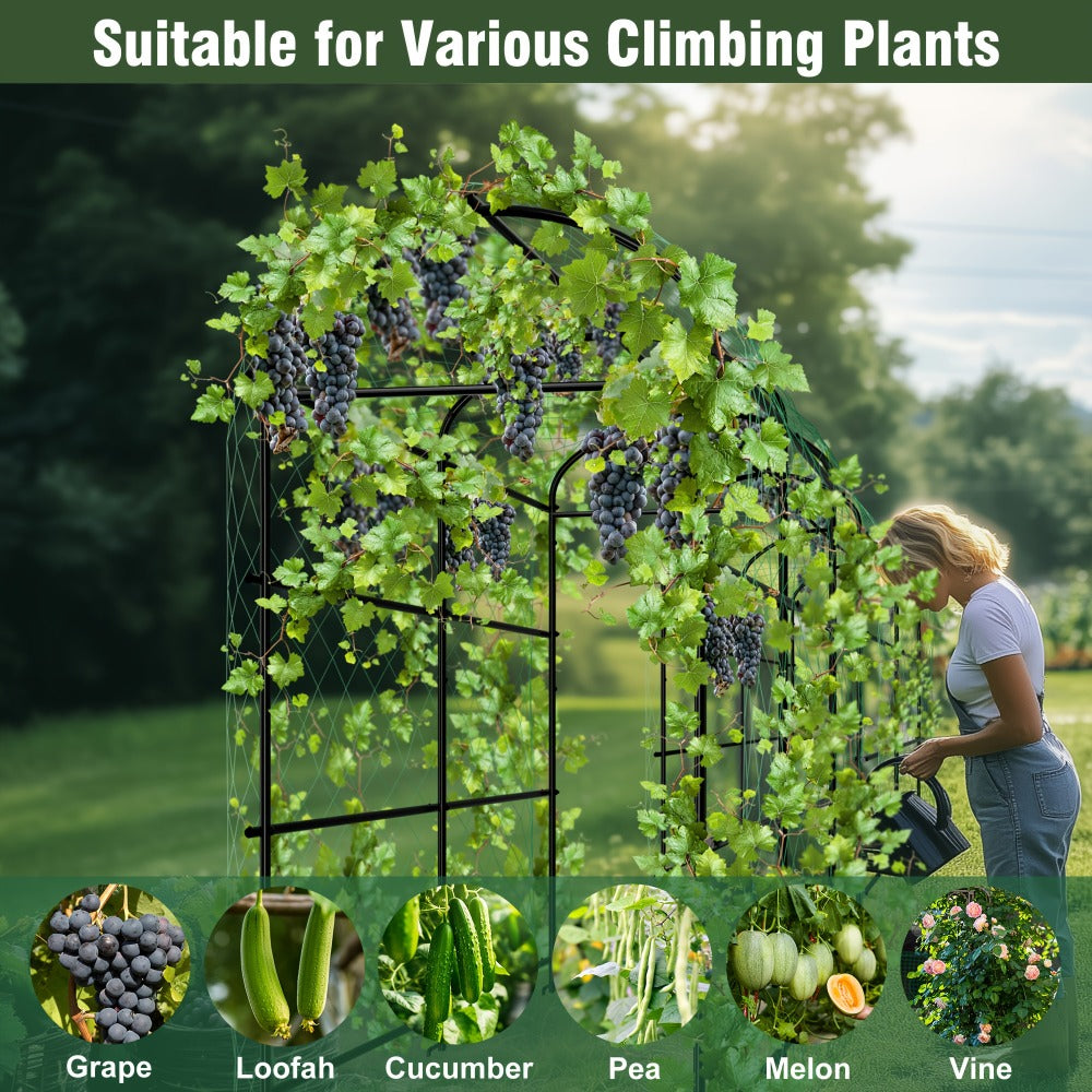 Metal Garden Arch Trellis with Net detail view 7 for Australian shoppers