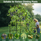 Metal Garden Arch Trellis with Net detail view 7 for Australian shoppers