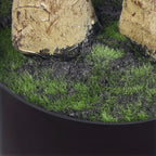 Modern Artificial Indoor Tree product detail 6