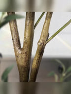 Modern Artificial Indoor Tree product detail 13