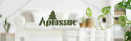 Modern Artificial Indoor Tree product detail 20