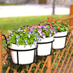 Multi-Pack Metal Plant Stand product detail 8