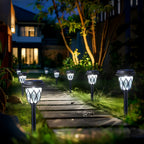 Multi-Pack Solar Pathway Lights – Garden Paths – additional product view 12