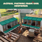 Plastic Four-Hole Chicken Nesting Box - hen houses and poultry coops – additional product view 17