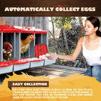 Plastic Four-Hole Chicken Nesting Box - hen houses and poultry coops – additional product view 32