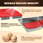 Plastic Four-Hole Chicken Nesting Box - hen houses and poultry coops – additional product view 35