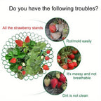 Plastic Garden Trellis product detail 16
