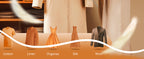 Plastic Handheld Garment Steamer product detail 9