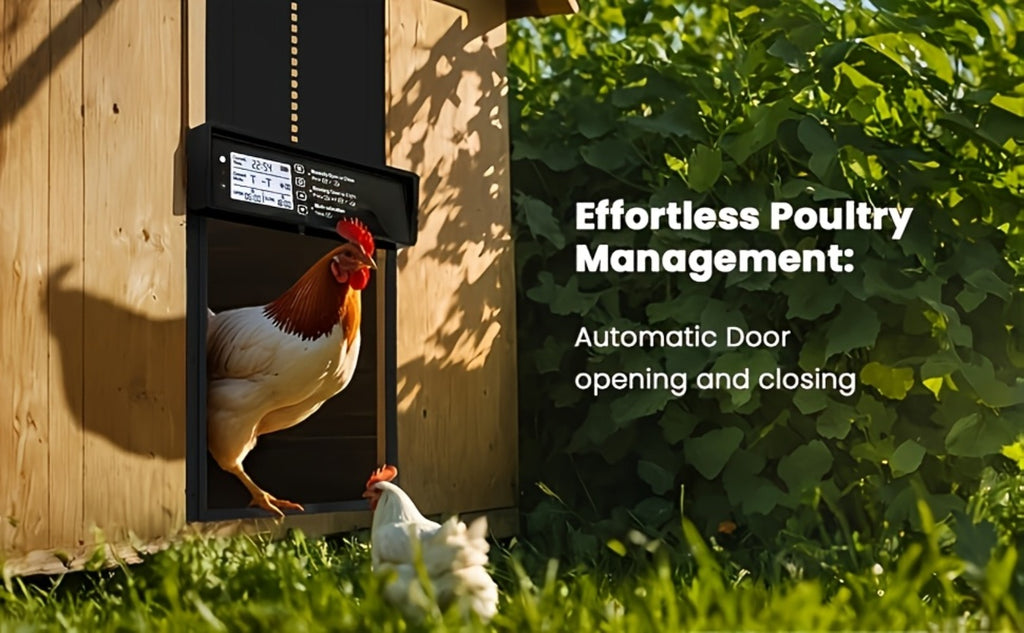Solar Chicken Coop Door - Timer and Light Sensor Control – additional product view 10